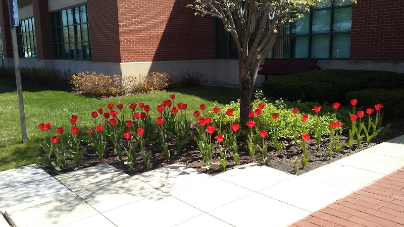 Detroit Area Agency On Aging