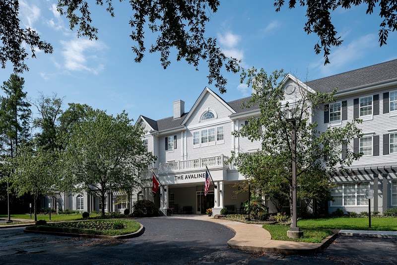 The Avaline at River Oaks